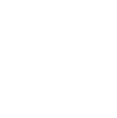 AOKI LAW FIRM